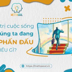 Bai viet GIA TRI CUOC SONG CHUNG TA DANG PHAN DAU VI DIEU GI da edit logo MS
