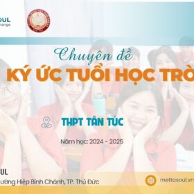 BANNER 7