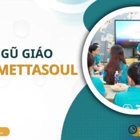 BAI VIET 1 QUY MO